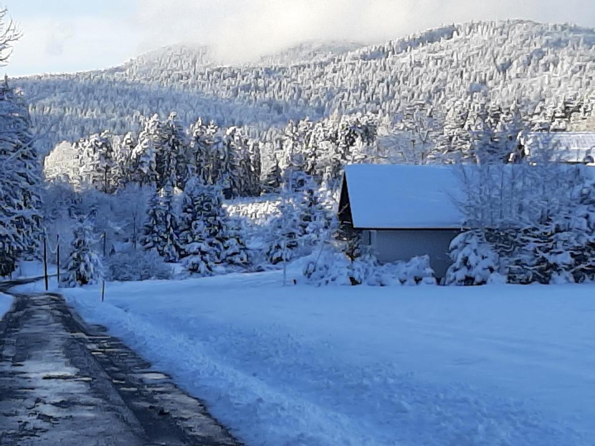 Chalet Waldstadl, Andrea'S Woidhaisl ارنبروك المظهر الخارجي الصورة