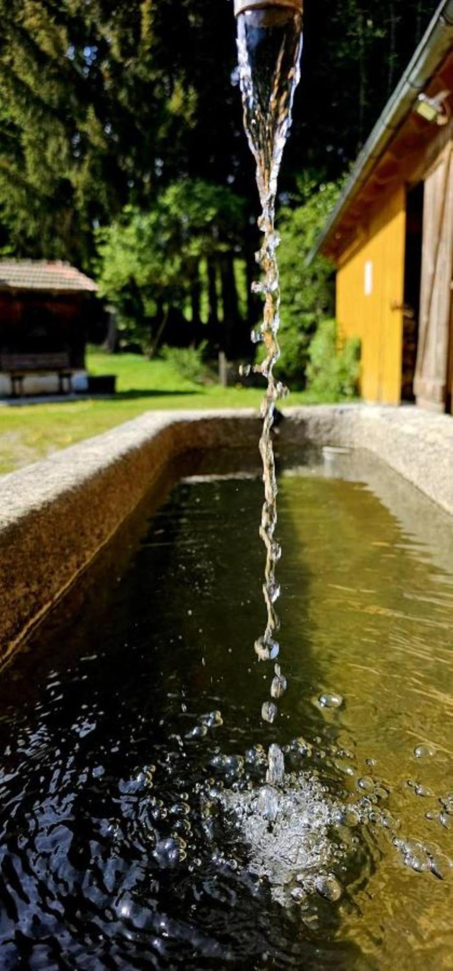 Chalet Waldstadl, Andrea'S Woidhaisl ارنبروك المظهر الخارجي الصورة